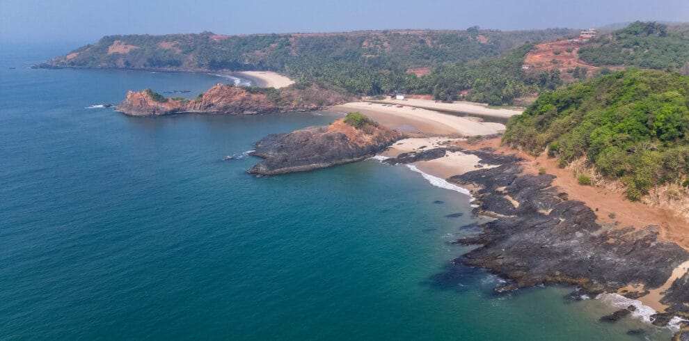Aerial top view on tropical beach with green palm trees under su